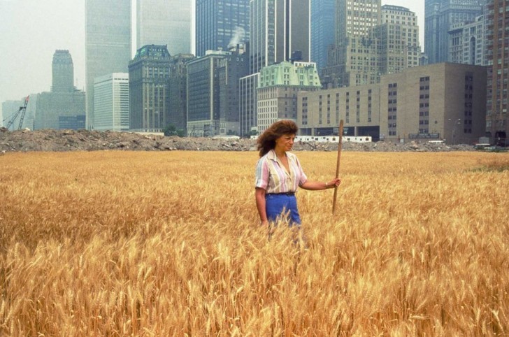 10. Un campo de grano que surge en el corazon de Manhattan solo en 1982.