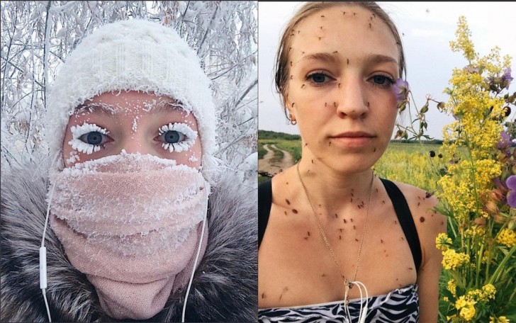11. En Sibérie, il ne fait pas que très froid : il y a aussi beaucoup de moustiques !