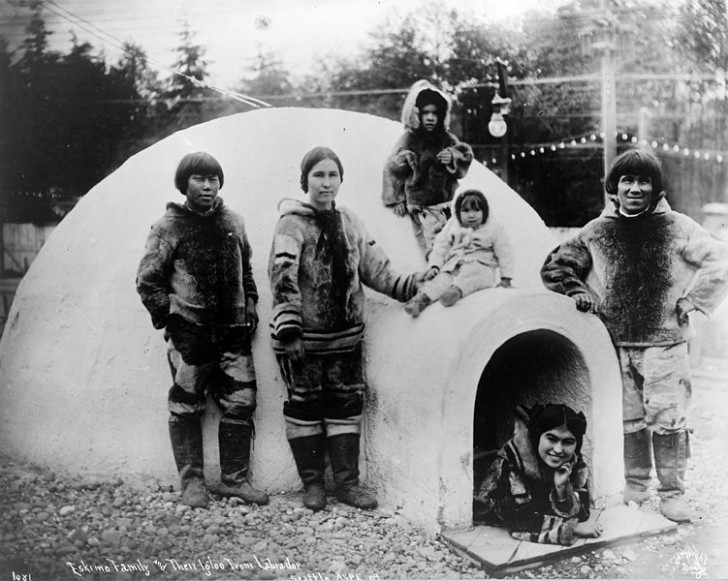 1. Eskimos benutzen einen Kühlschrank, aber um zu vermeiden dass die Lebensmittel einfrieren.