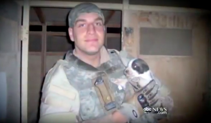 Un joven muere durante la guerra en Irak: los padres deciden de adoptar al perro que él había salvado - 1