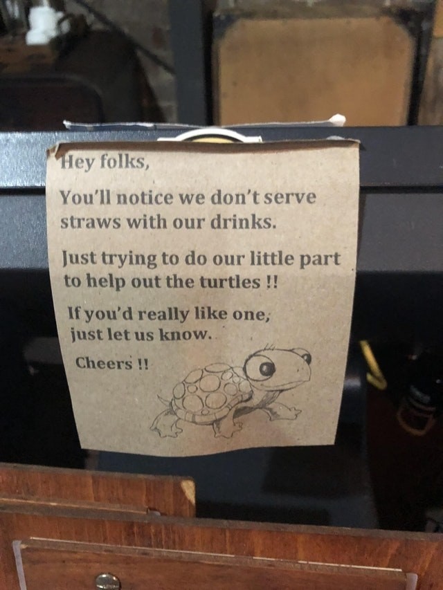 11. Dans ce bar, on ne vous donne des pailles que si vous les demandez pour sauver les tortues.