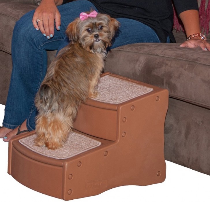 14. Scalette da divano per cagnolini di piccola taglia.