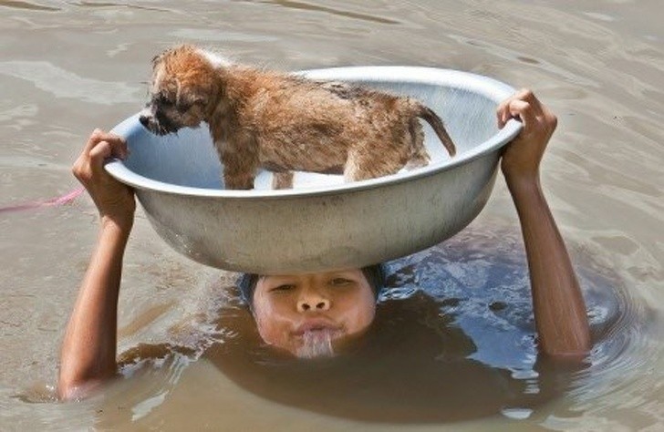 15. Saving those in need, even if of another species, demonstrates kindness and generosity of spirit.
