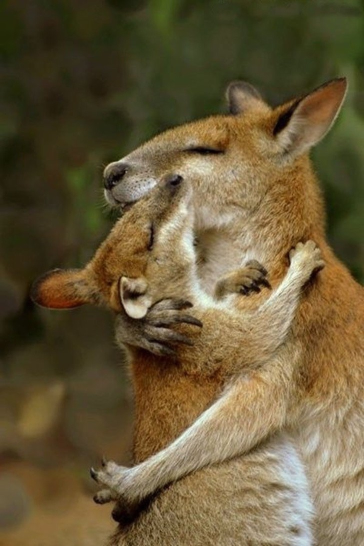 4. En mammas kram är alltid oersättlig