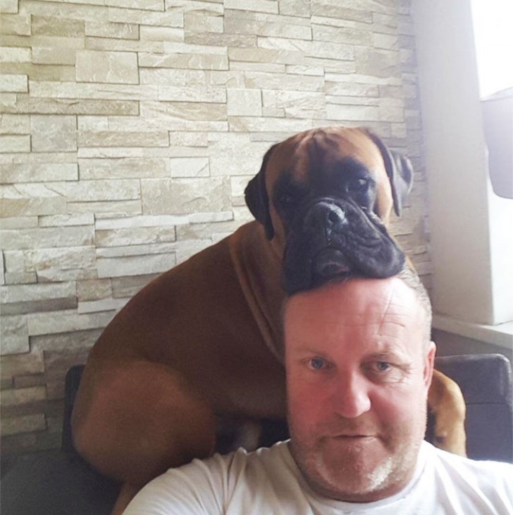 My father and his Boxer making their first selfie. What else can I say?