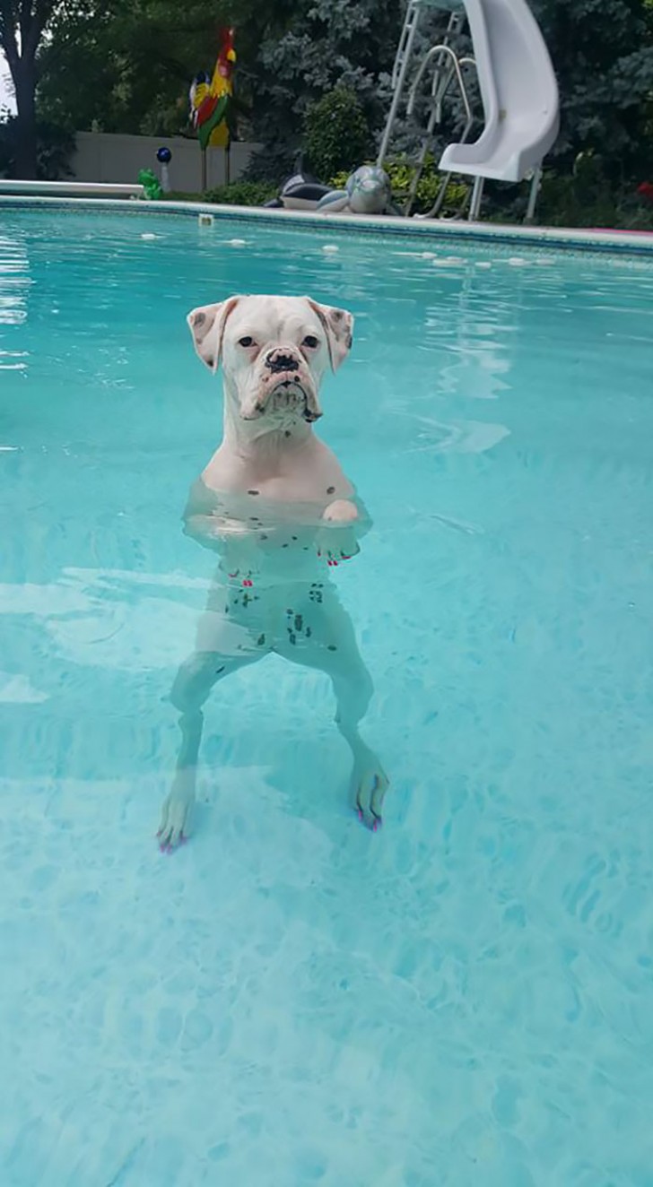 Ela toma banho de piscina assim.