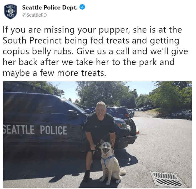 L'annonce du service de police de Seattle après la découverte d'un chien qui "ne sera rendu au propriétaire qu'après une autre visite du parc et un bon cadeau "