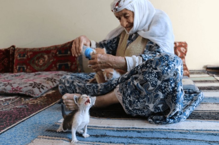 De ruim negentigjarige vrouw die voor achtergelaten katten zorgt.