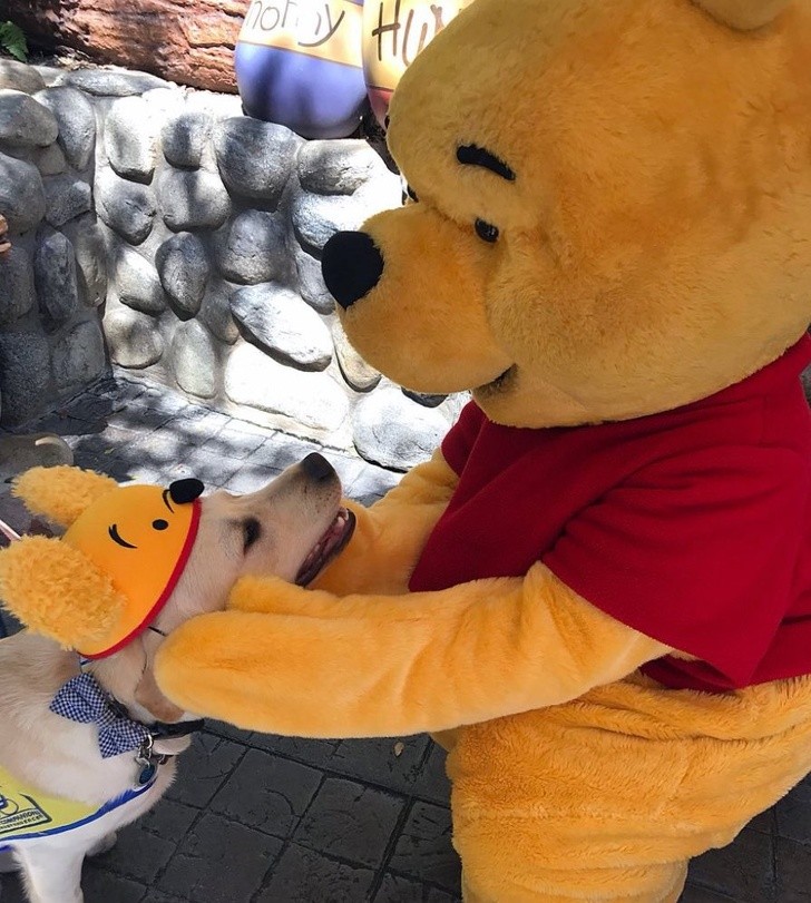 17. Qual dos dois Pooh é o mais fofo?