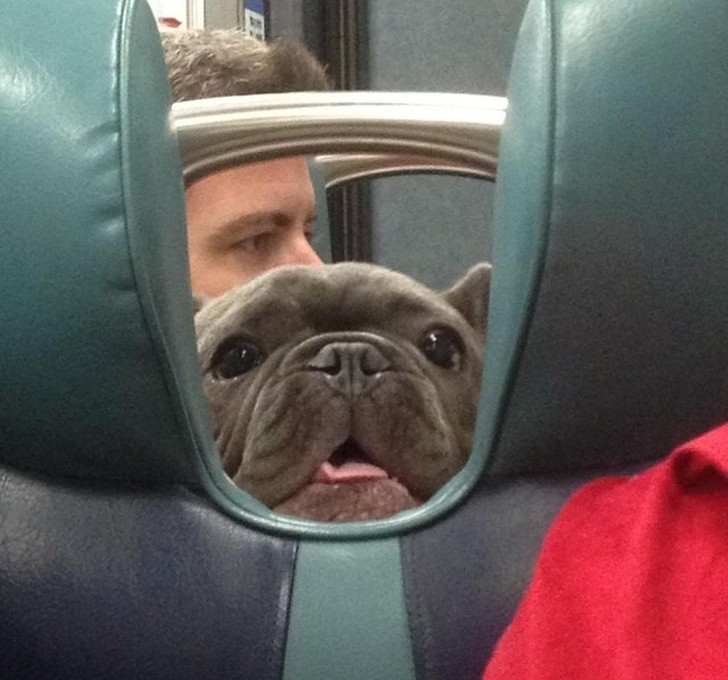 6. When you get bored on the train and start looking around to spy on what others are doing!