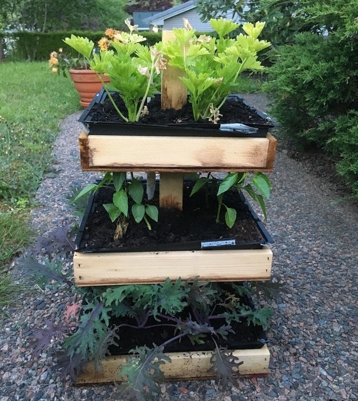 11. "Construí uma horta vertical para um projeto escolar e estou muito orgulhoso!"