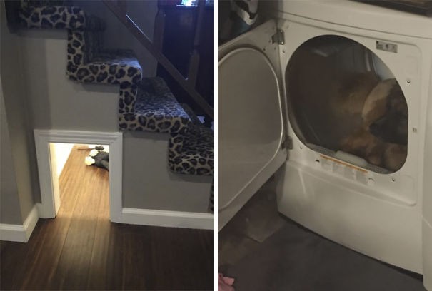 Eu construí um lugarzinho para ele embaixo da escada, mas ele prefere a máquina de lavar roupas!