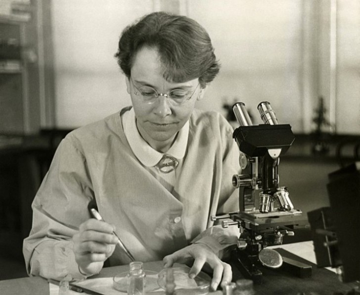 7. Barbara McClintock - Contribuì alle scoperte sul DNA.