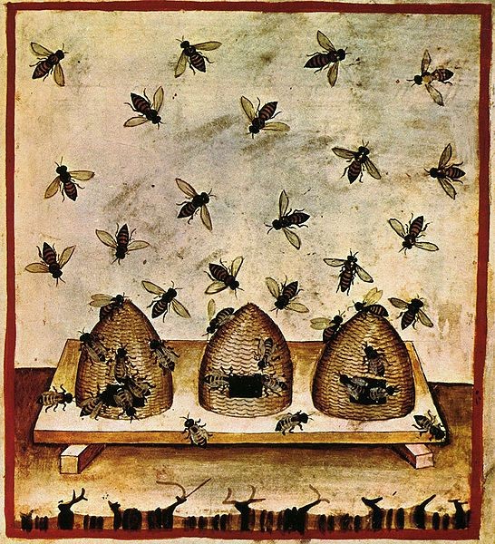 1. Les abeilles étaient des oiseaux