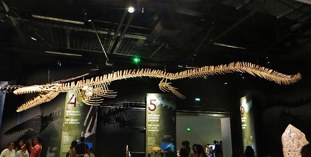 4. Mosasaurus