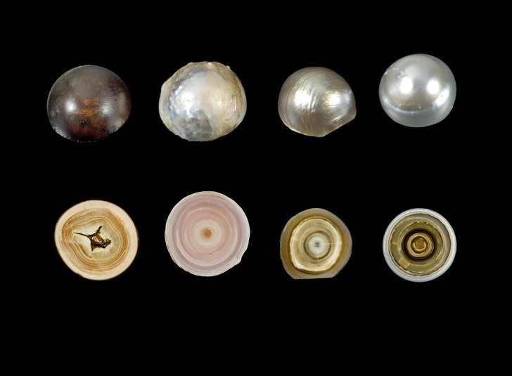 11. Quelques perles et leur intérieur