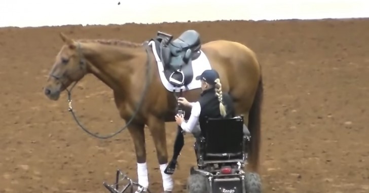 Un cheval s'approche d'une femme en fauteuil roulant : le spectacle qui suit captive le public - 1