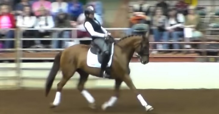 Ein Pferd nähert sich einer Frau im Rollstuhl: Die anschließende Show entführt das Publikum - 2