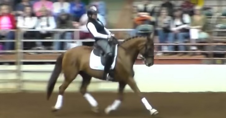 Een paard nadert een vrouw in een rolstoel: de show die volgt ontroert het publiek - 2