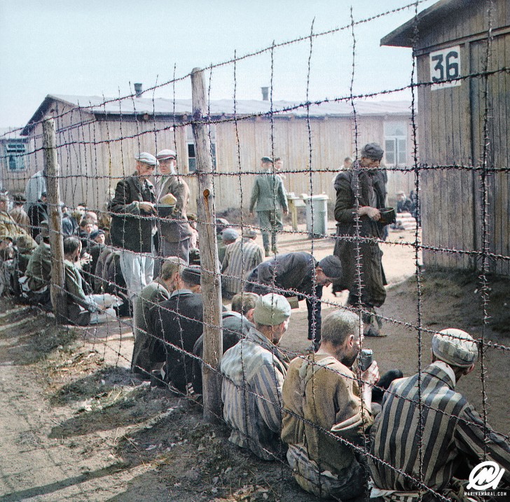20. La liberazione del campo di concentramento di Bergen-Belsen, aprile 1945