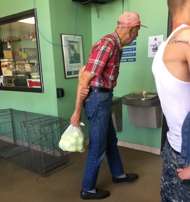 17. This elderly man gives tennis balls to the dogs at an animal shelter because it warms his heart to see the dogs happy and playing!