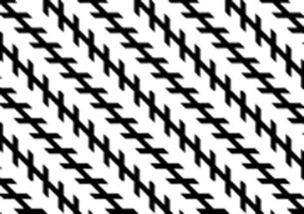 L'illusione di Zöllner ci fa credere che queste linee siano diagonali, invece sono perfettamente parallele