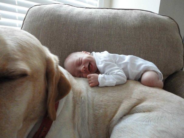 O meu sobrinho e o seu labrador.