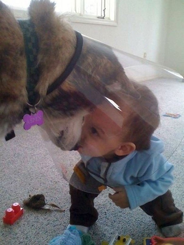 "Our dog was sad because he had to wear a cone, luckily someone decided to console him!"