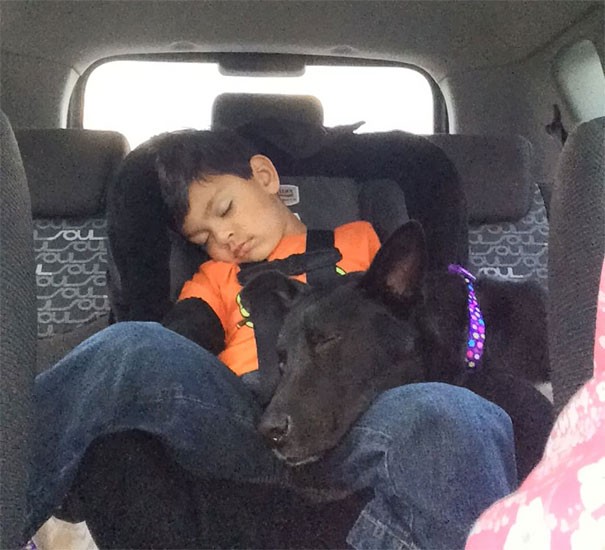 This dog was adopted only 20 minutes ago! Will it get along with this young boy?