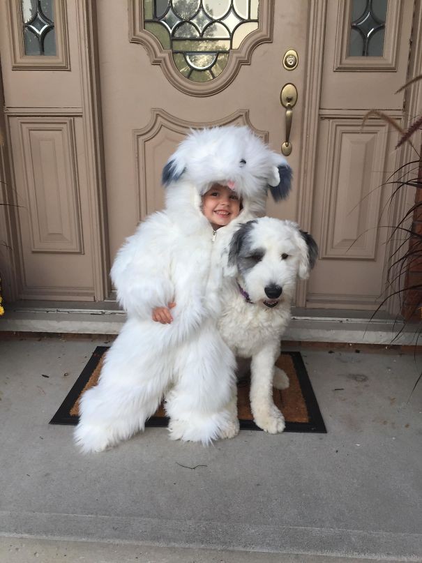 For Halloween, this child wanted a dog costume. Guess who inspired it?