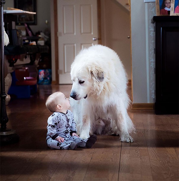 Meu filho estava brincando no chão quando o nosso cachorro entrou: foi um dos momentos mais lindos que já fotografei!