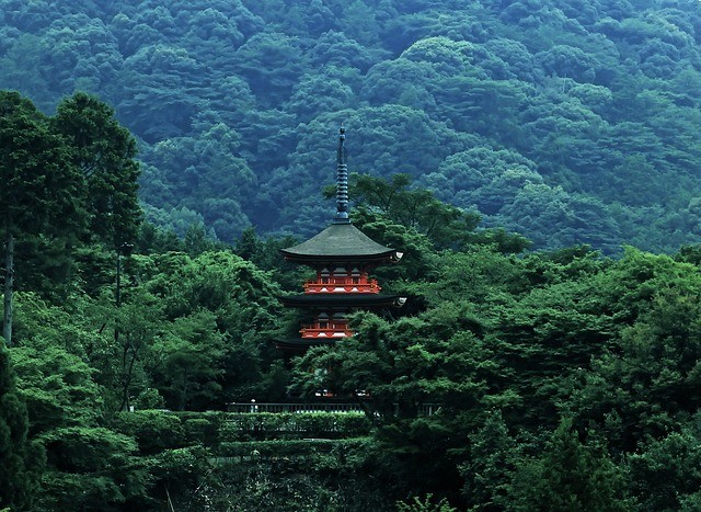 3. Bien que le Japon soit l'un des pays les plus densément peuplés, il a aussi l'un des pourcentages les plus élevés de zones forestières (68,55%).