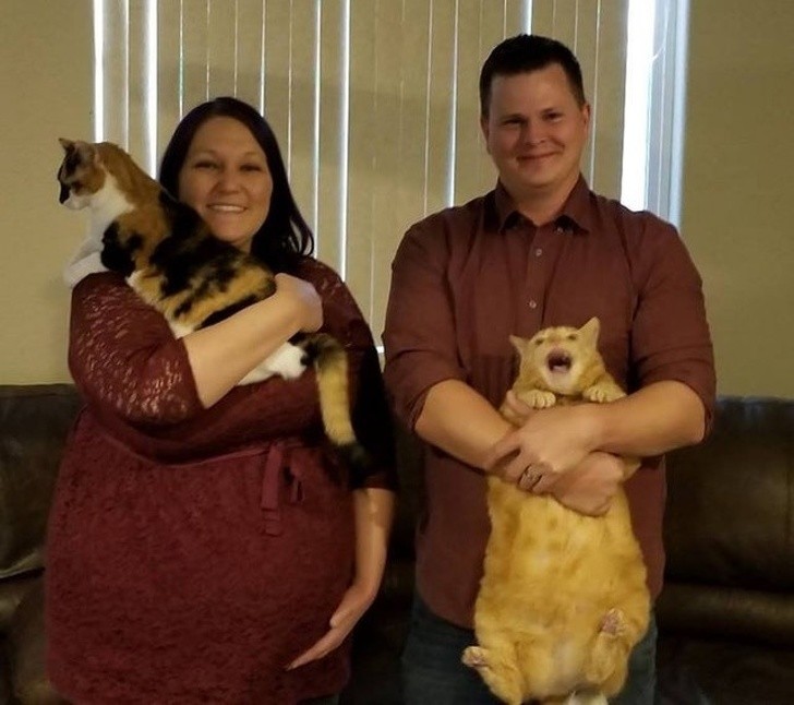 De familiefoto verpest door een kat.