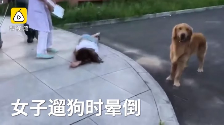 This woman fainted suddenly while away from home walking her dog and passersby promptly called an ambulance.