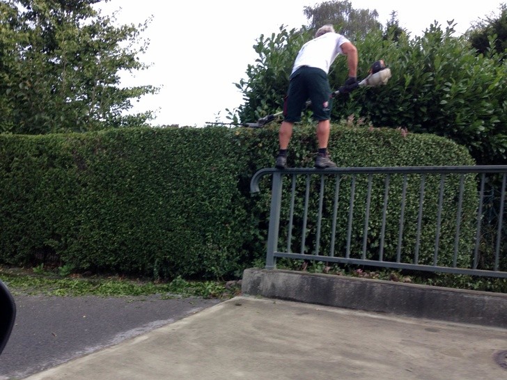 12. This guy uses balance bar gymnastics to prune hedges!