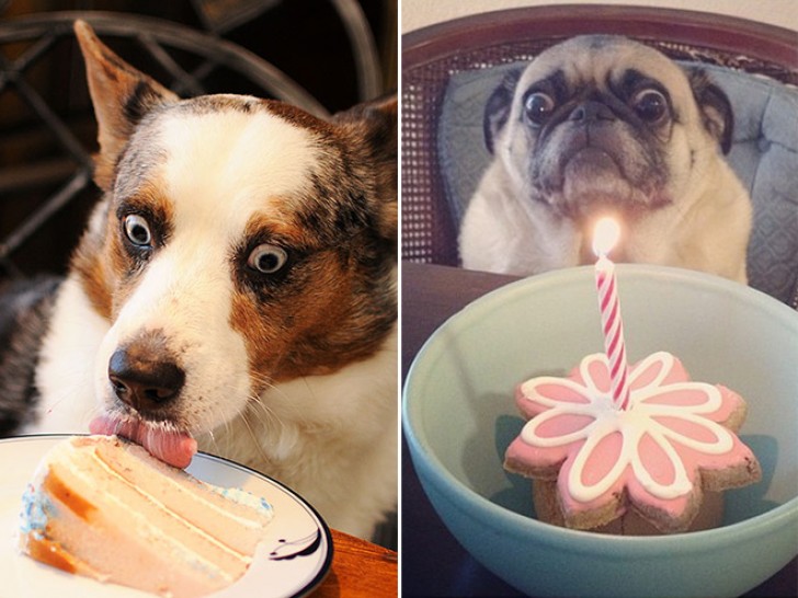 4. Two very special birthday parties!