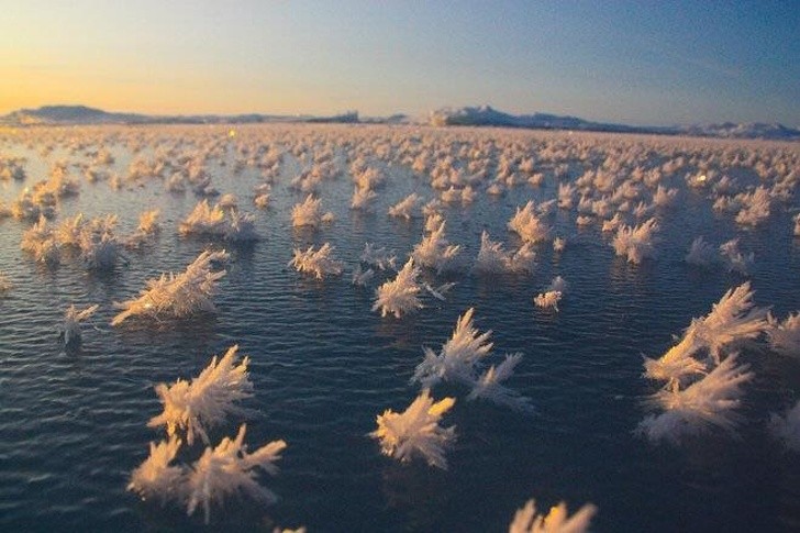 5. "Fiori di ghiaccio", uno splendido fenomeno che si forma sull'acqua quando fa molto freddo e l'aria è secca