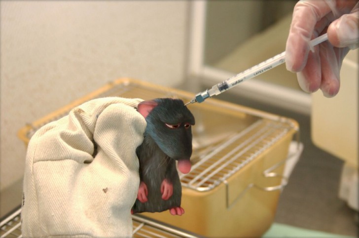 Le rat Rémy de Ratatouille enfermé dans un laboratoire scientifique.