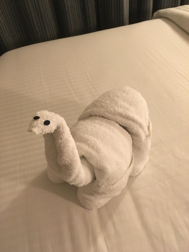 4. Quand nous sommes entrés dans la chambre d'hôtel, nous avons trouvé une sculpture faite avec des serviettes.