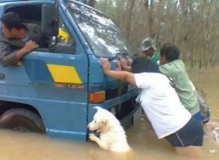 Cuando no sabes si tu contribucion servira, pero no te tiras atras igualmente.