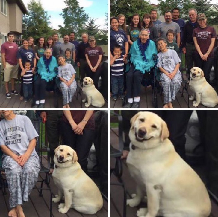 "A great family photo but the dog's smile is the best!"