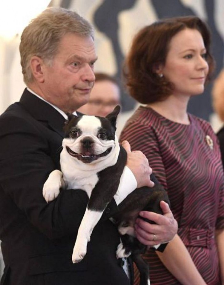 13. Lennu, il cane del presidente finlandese che spesso lo accompagna agli eventi internazionali!