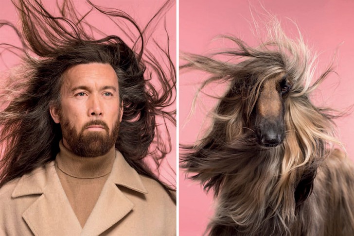 1. Der afghanische Mann und der Greyhound haben die gleichen zerzausten Haare!