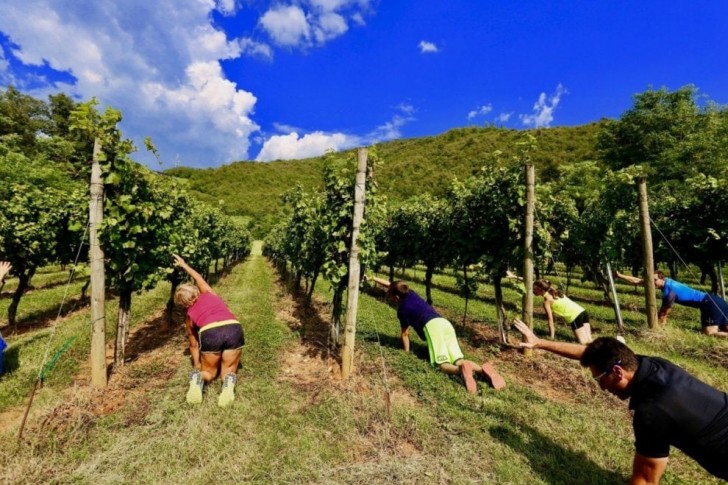 Si chiama "Ginnastica del vignaiolo" la ginnastica nelle vigne in compagnia di un "Personal Wine Trainer"