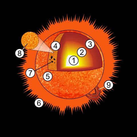 2. Il faut environ 200 000 ans pour qu'un photon passe du noyau à la surface du Soleil, mais seulement 8 minutes entre le noyau et notre œil.