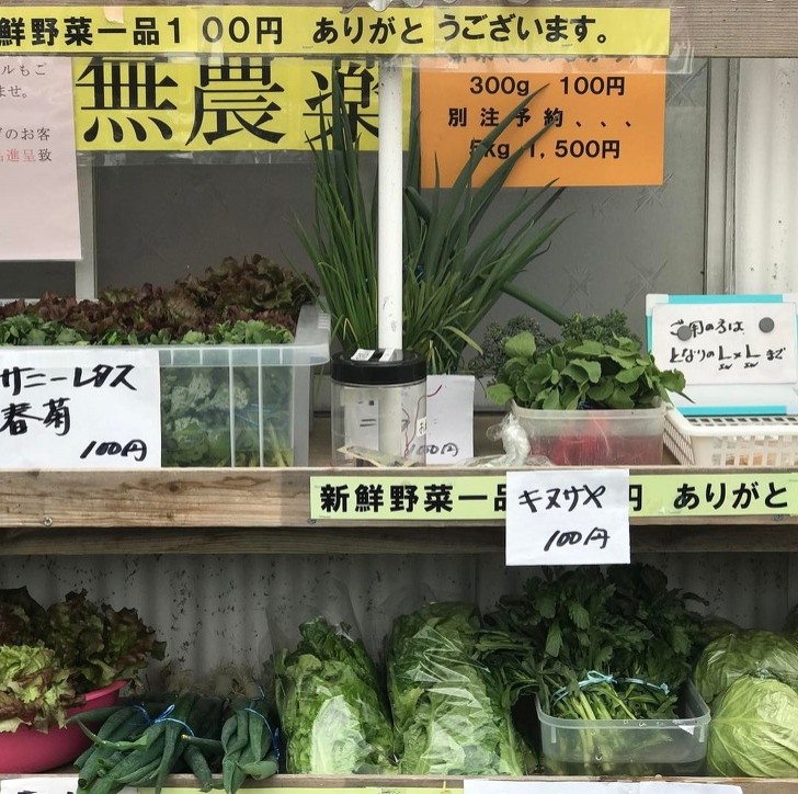 25. Au Japon, il y a des magasins "sans surveillance" : les clients prennent ce dont ils ont besoin et laissent l'argent dans le panier, de manière indépendante.