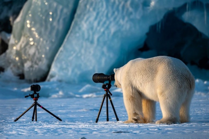 5. "Un fotograf-orso della natura" - Roie Galitz