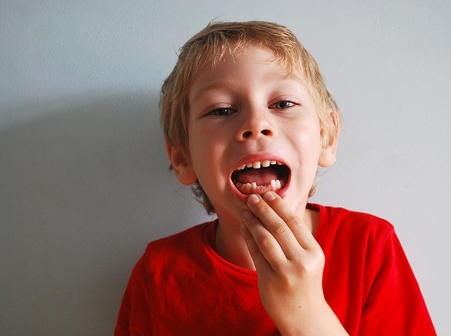 La scienza lo conferma, nei denti da latte è presente un'alta concentrazione di cellule staminali.
