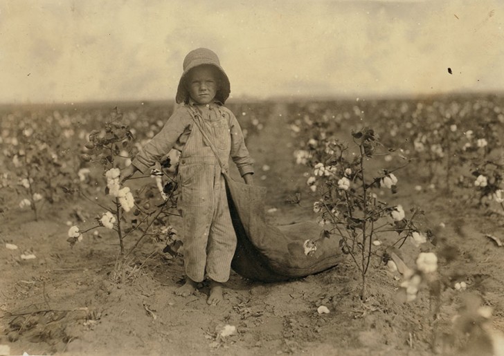 12. Harold Walker, 5 ans, ramasse le coton