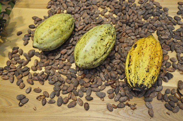 10. Fèves de cacao
